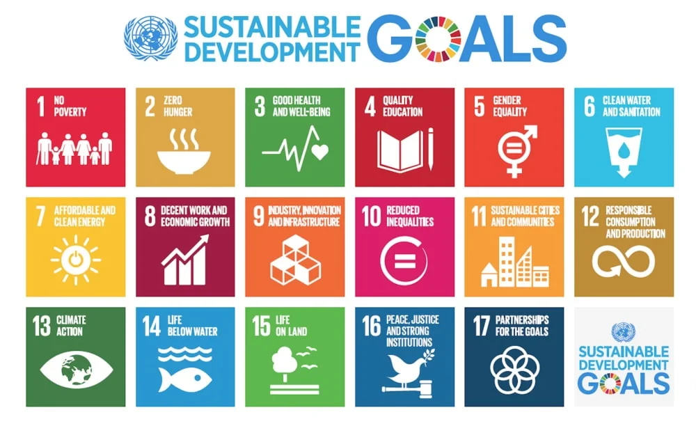 Sustainable Development Goals - ONU